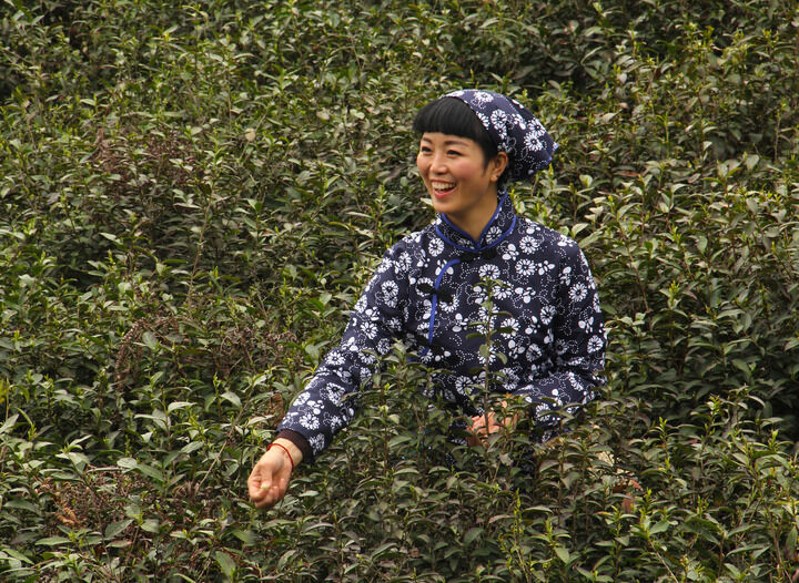 实战直播app 影视9